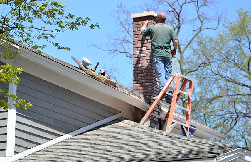 Chimney & Fireplace Inspections Services in Monrovia, CA